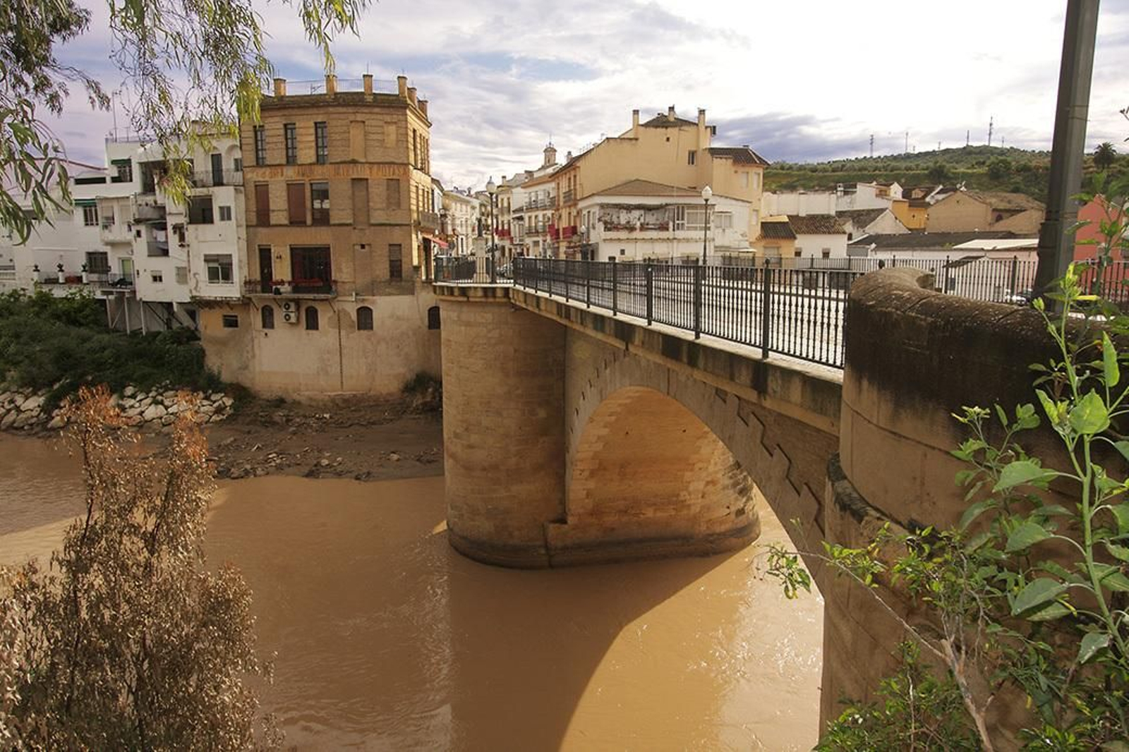 Por la ribera del Genil en Puente Genil.
