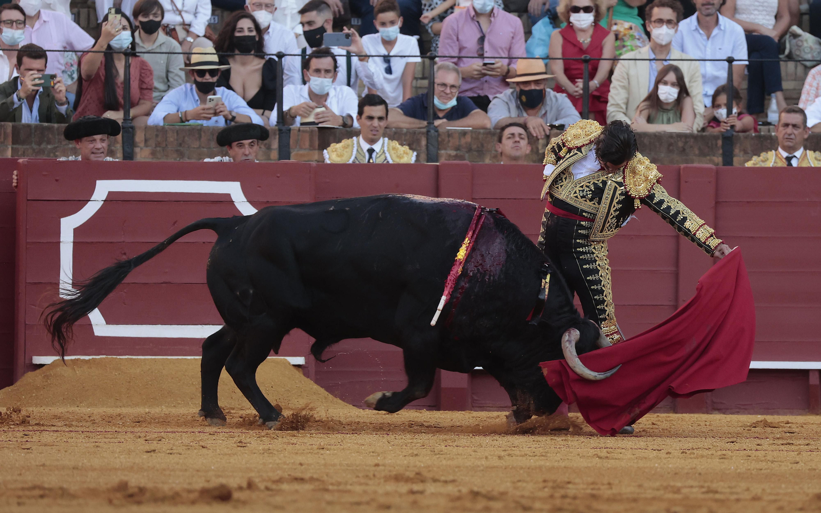 Las imágenes del primer festejo de San Miguel