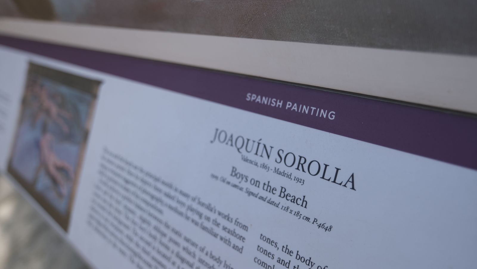 Imágenes del Museo del Prado en Almería