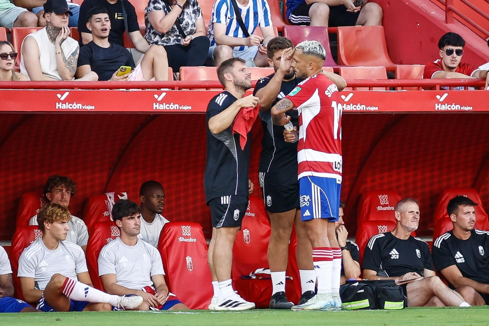 Granada CF vs Al Ain (14214516).jpg