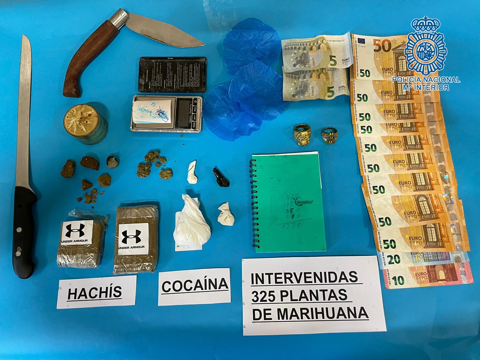 Detenidas en Jerez tres personas por presunto cultivo de marihuana
