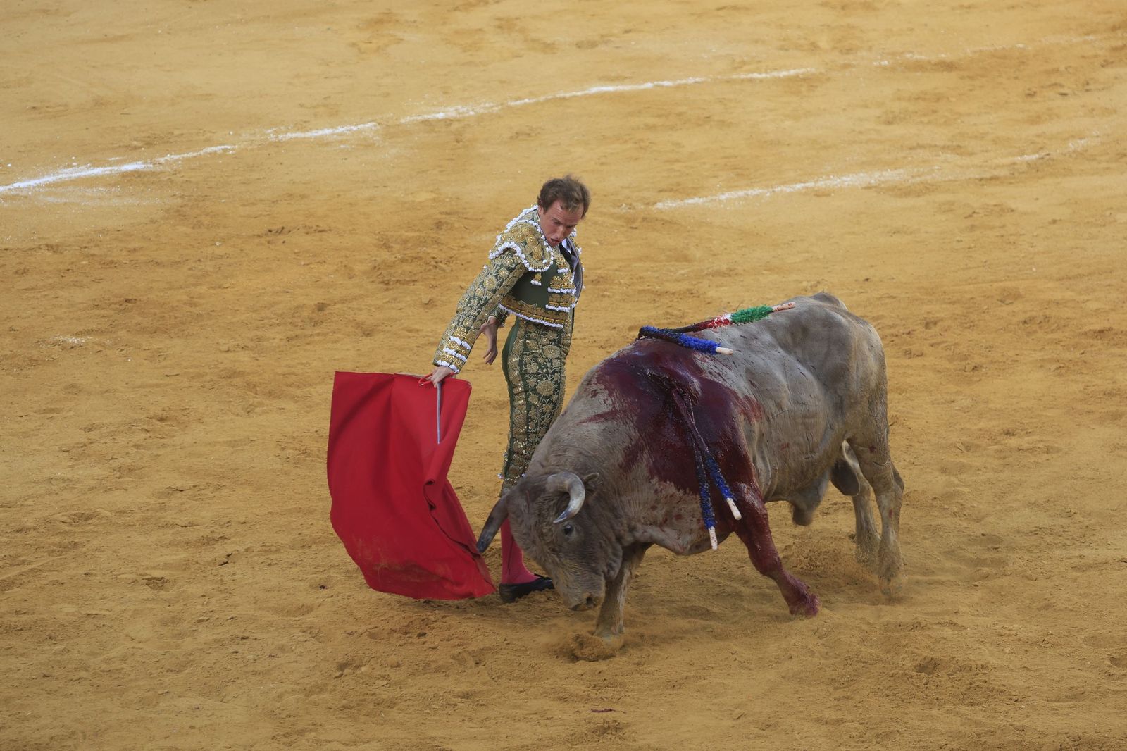 Fotos de la corrida de toros de la Feria de San Roque con David Galván, Román y Joaquín Galdós