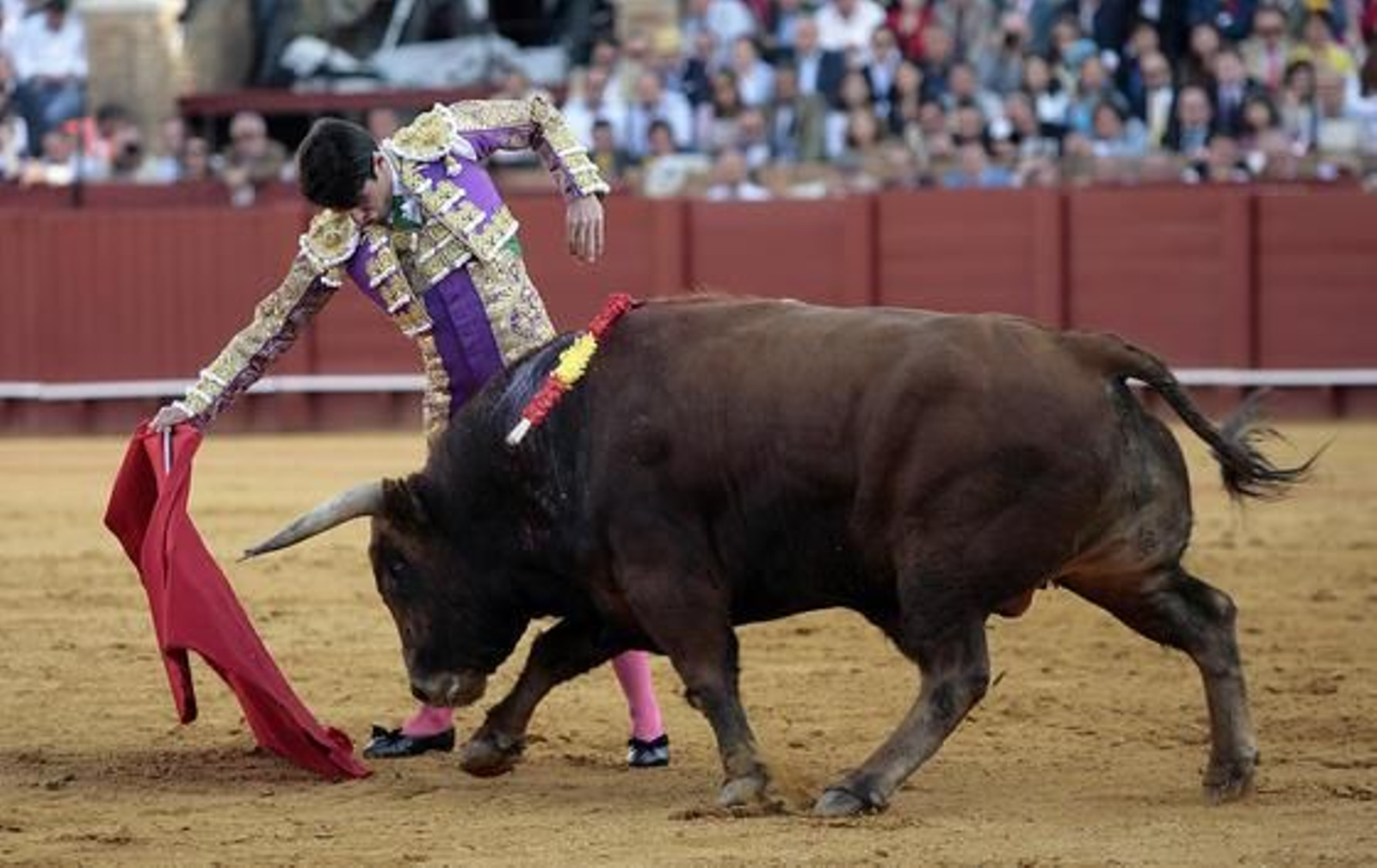 Foto: Juan Carlos Muñoz