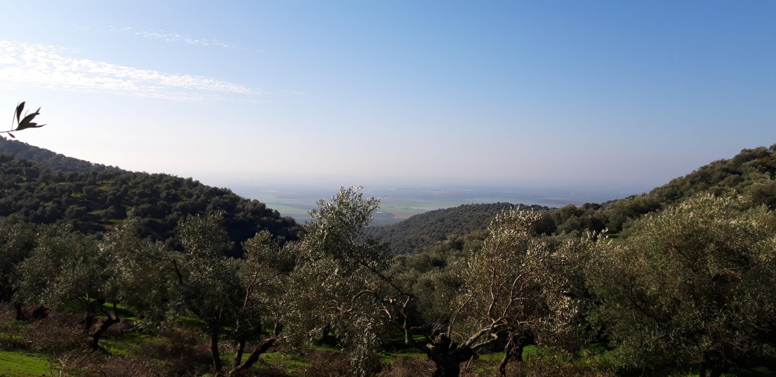 Circular de Las Palomas en La Puebla de los Infantes