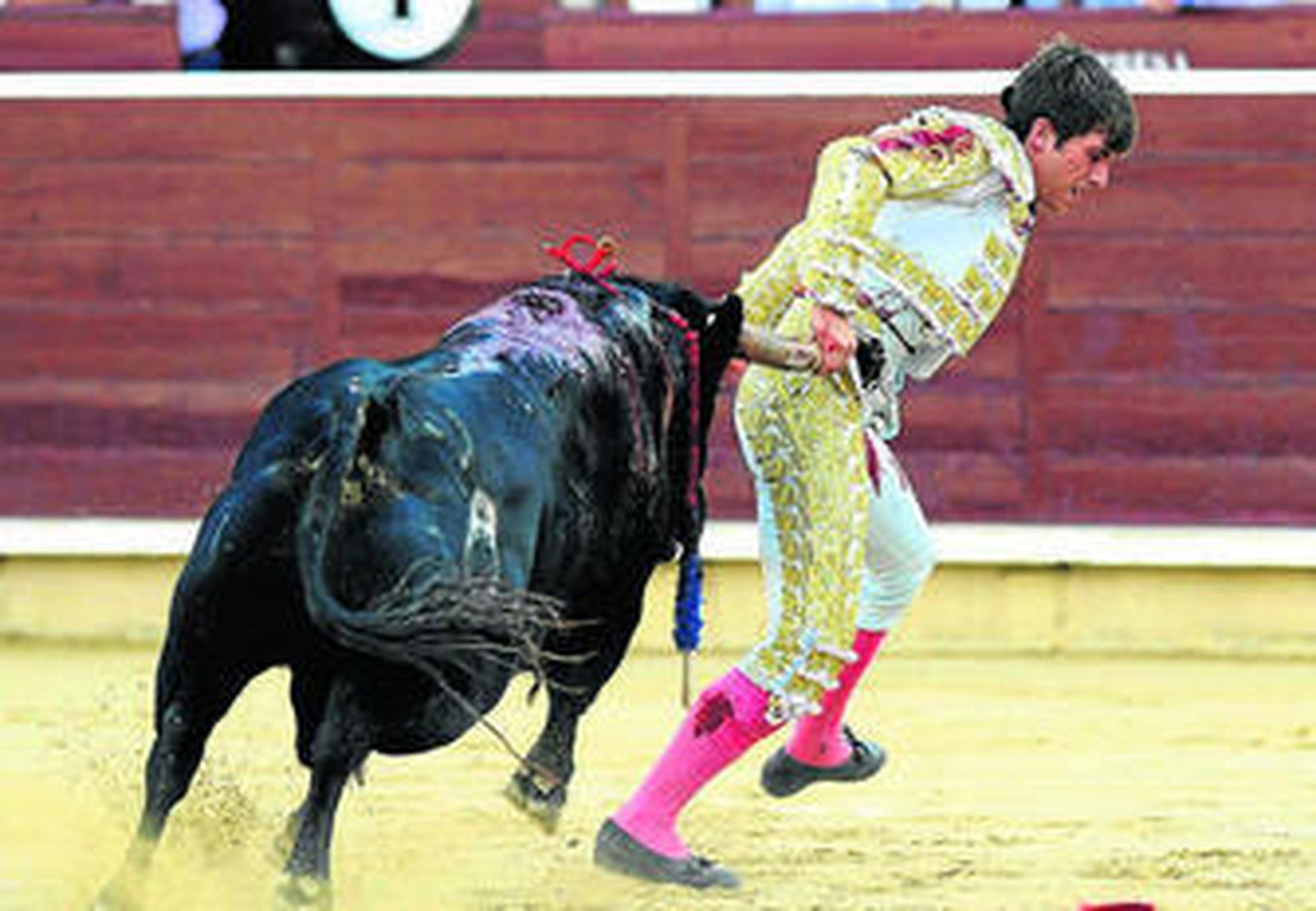 El novillero Mario Alcalde resulta cogido por el primero de la tarde.