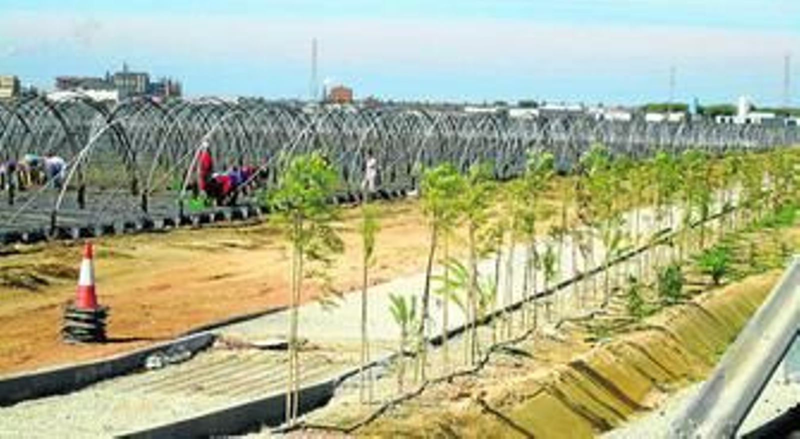 La primera fase de la pantalla vegetal ya cubre 8.000 metros