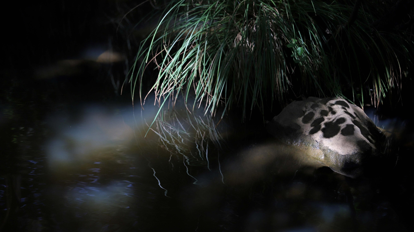 Las mejores fotos de la Montera del Torero y Valdeinfierno
