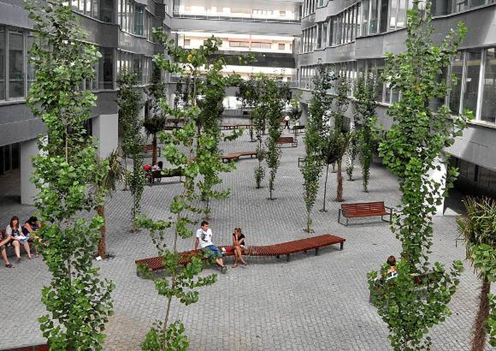 La Facultad de Ciencias de la Educación estará operativa a partir del 1 de septiembre