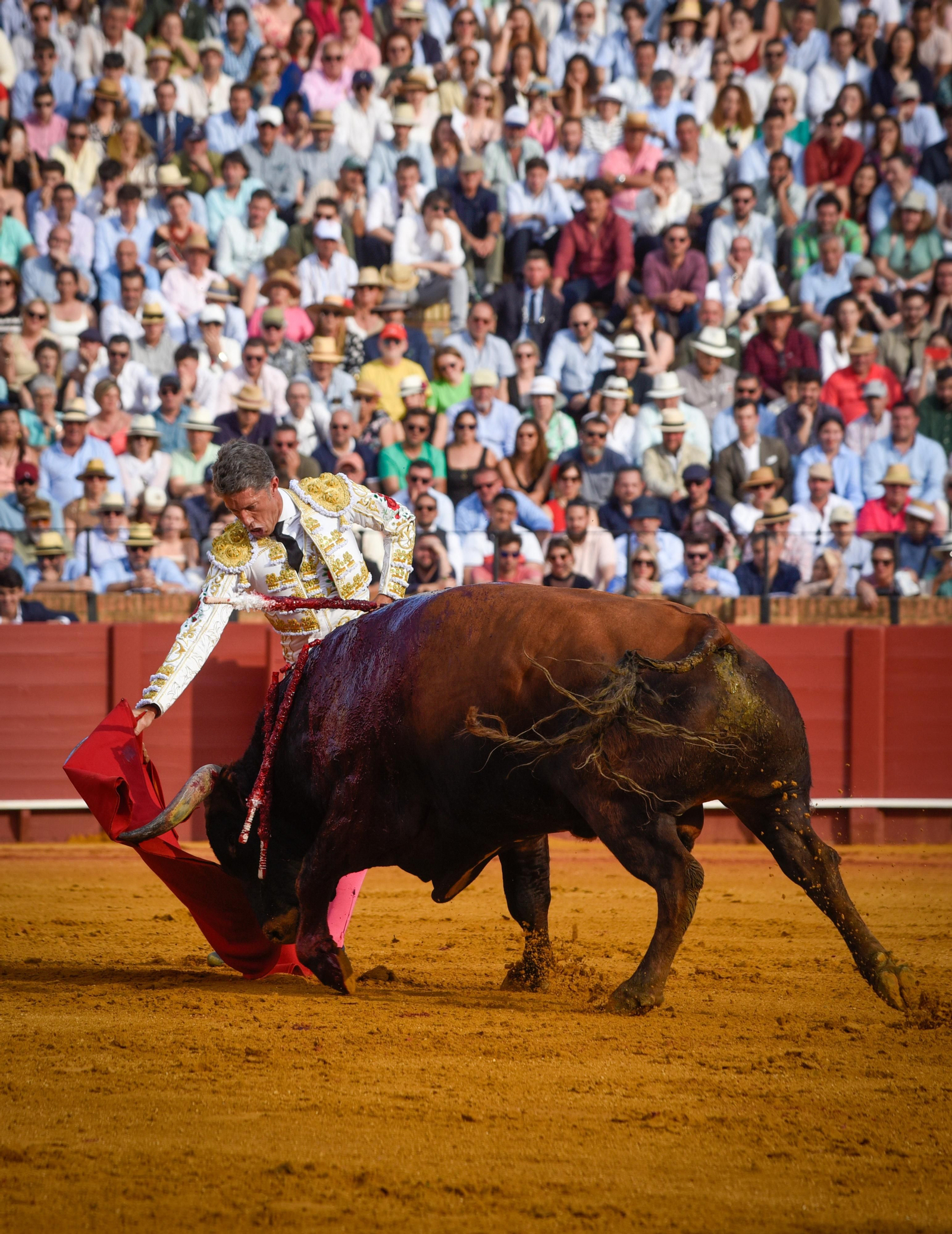 Las imágenes de la corrida de toros de El Fandi, Manuel Escribano y Esaú Fernández