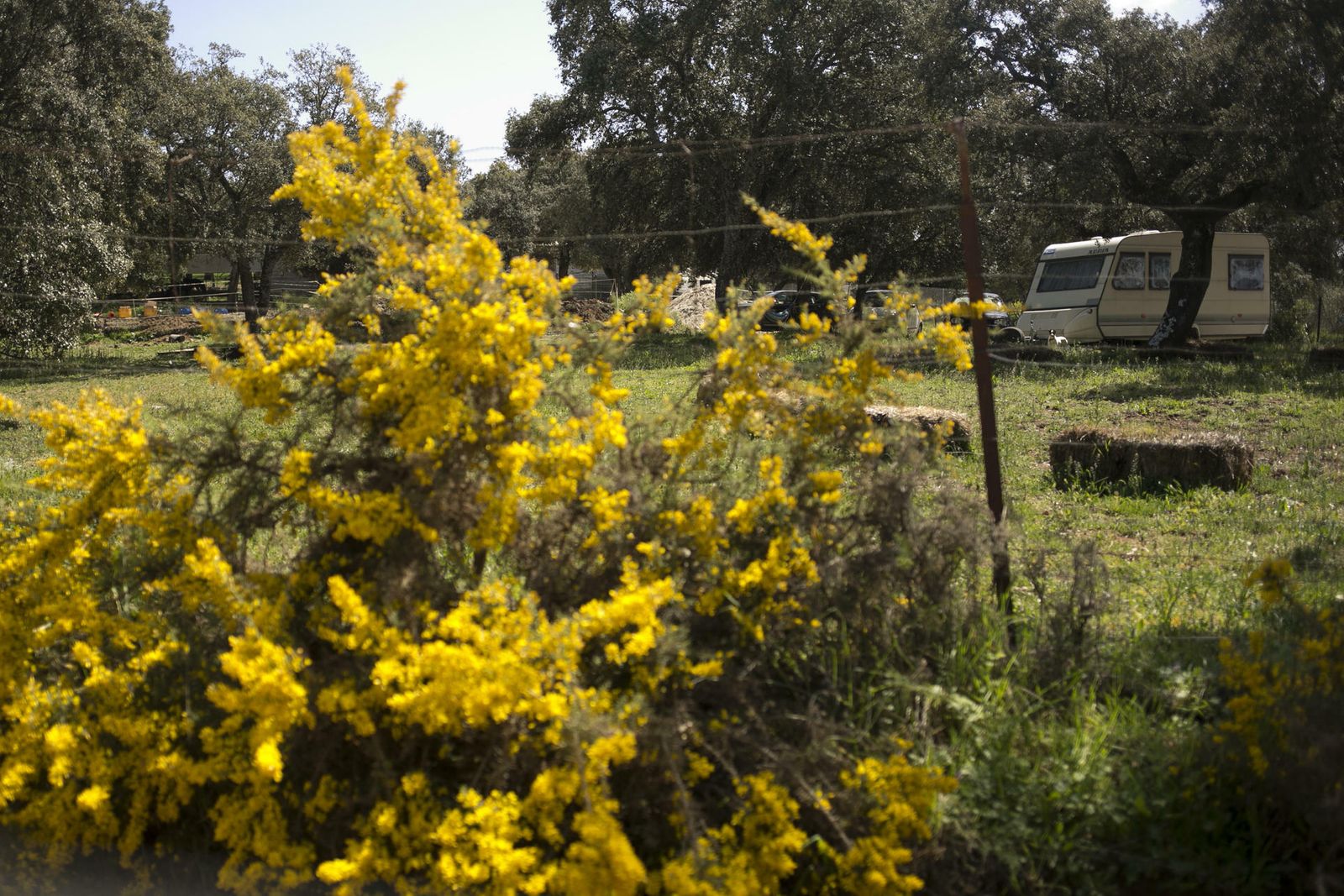 La primavera deja ver su paleta de color