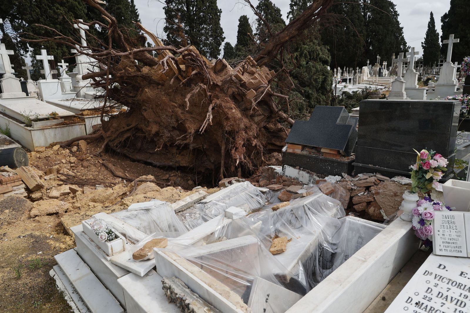 Destrozos provocados en las lápidas del cementerio por la caída de árboles