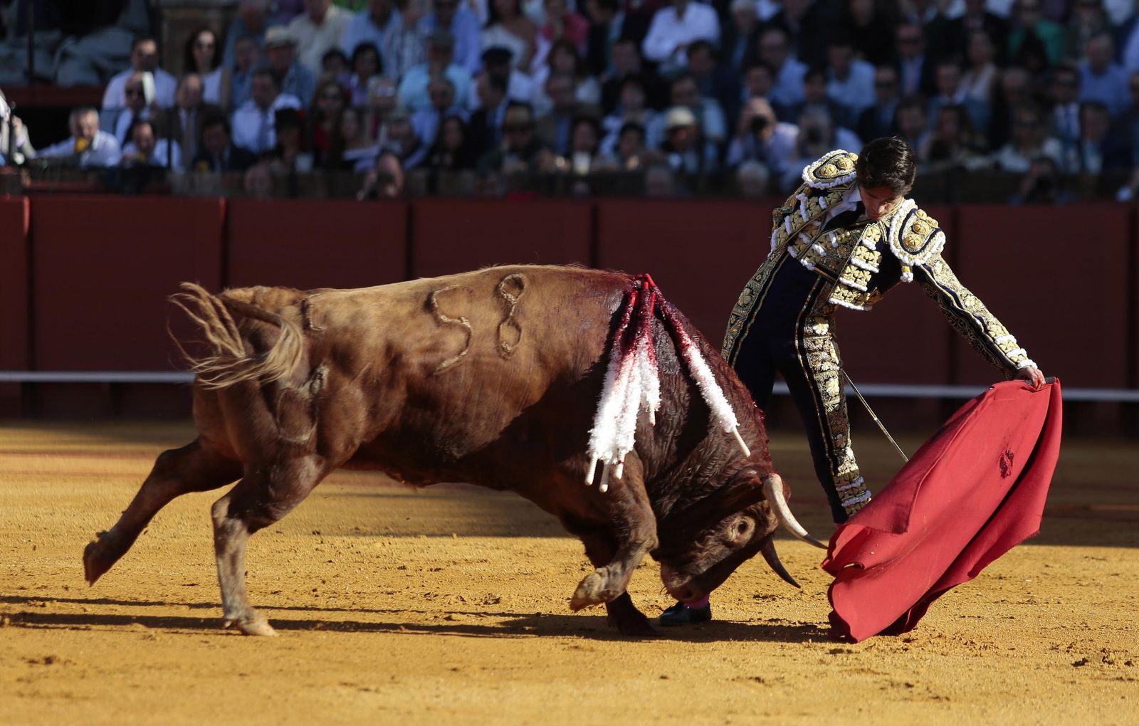 La novena de abono en la Real Maestranza de Sevilla
