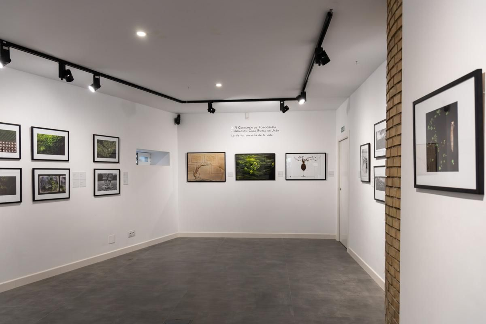 Exposición La Tierra, corazón de la vida, en imágenes