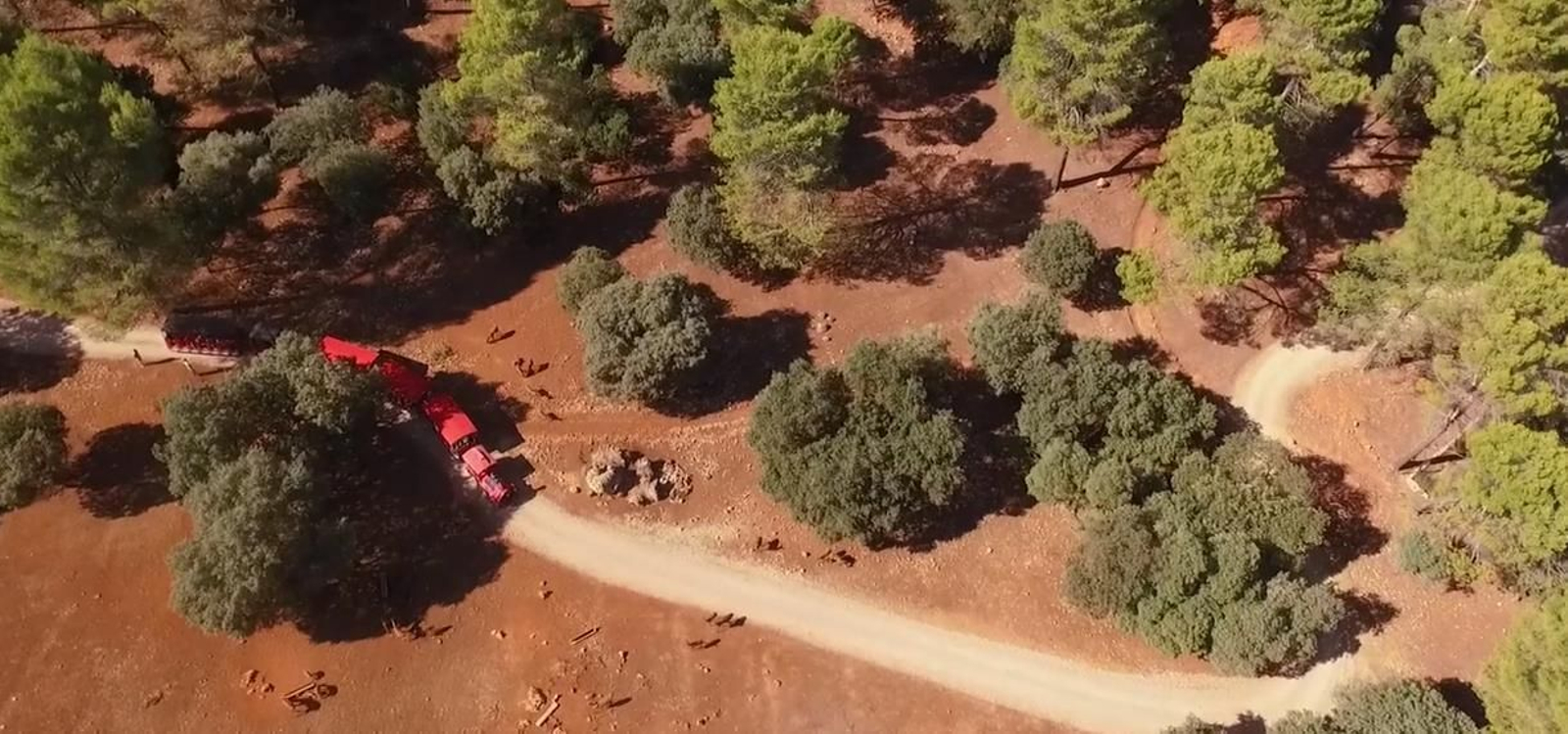 Tren turístico en el Parque Cinegético Collado del Almendral.