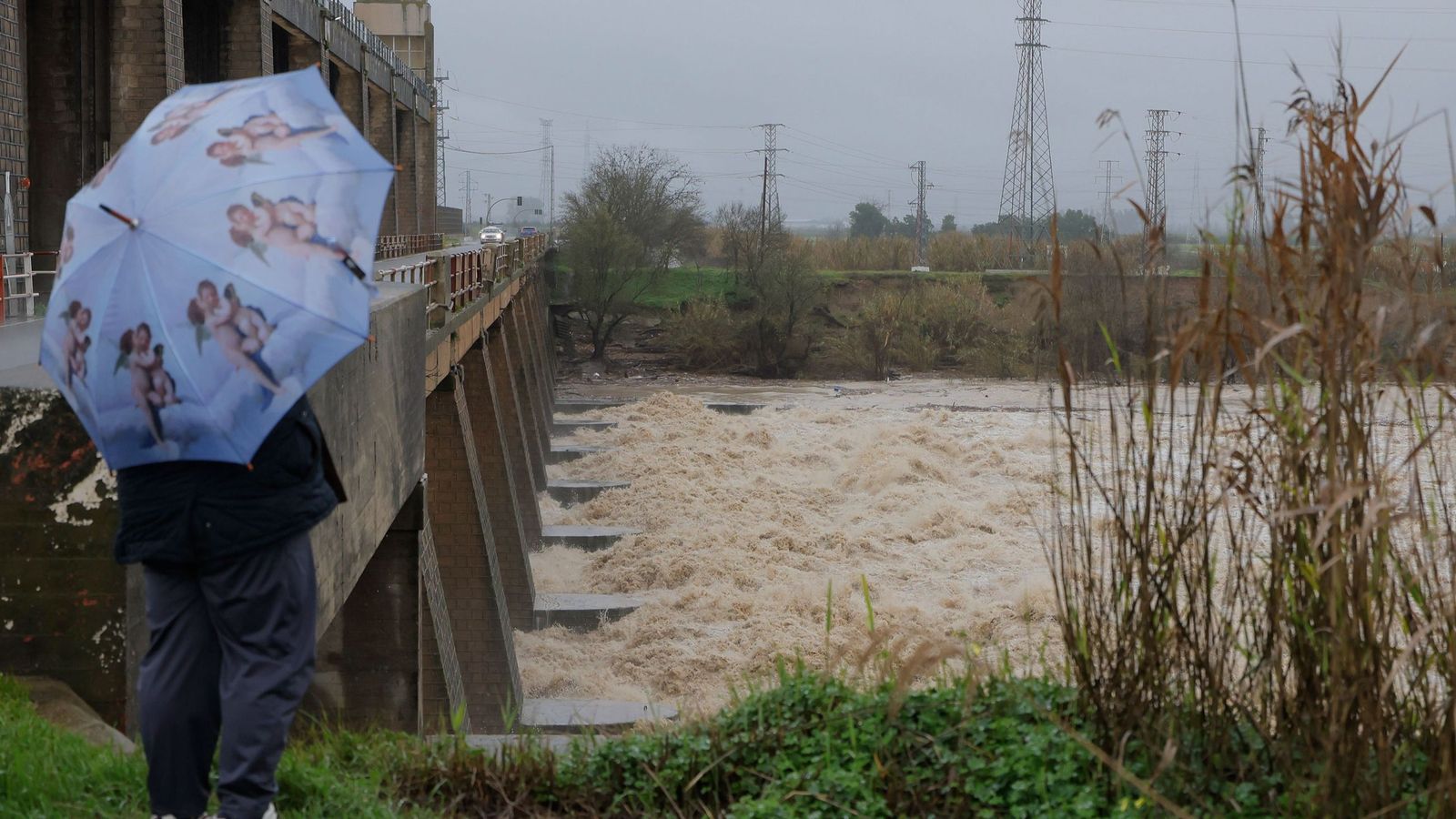 El Guadalquivir, a la altura de la presa de Cantillana.