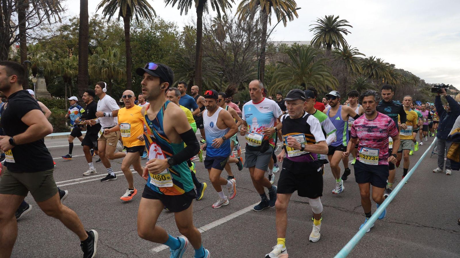 La Media Maratón de Málaga 2025, en fotos