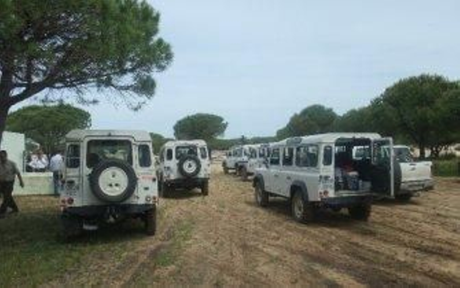 Arenas muy sueltas y mosquitos esperan a los romeros en Doñana