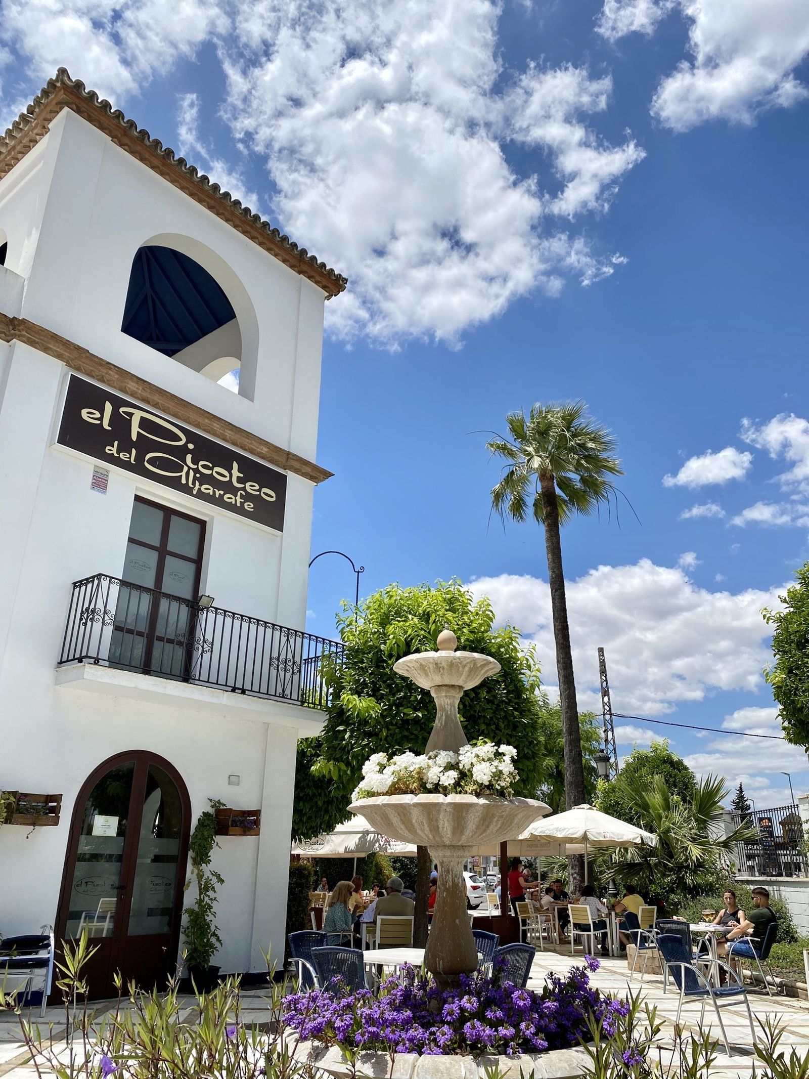 La terraza de El Picoteo del Aljarafe cuenta con casi 1.00 metros cuadrados de espacio.