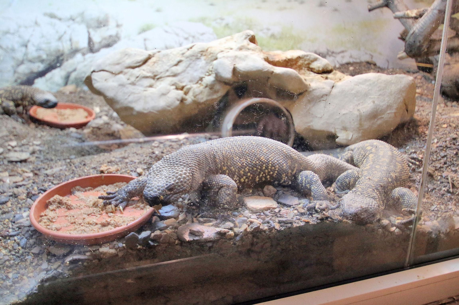 Fotogalería del Oasys Mini Hollywood sin actividad durante el coronavirus