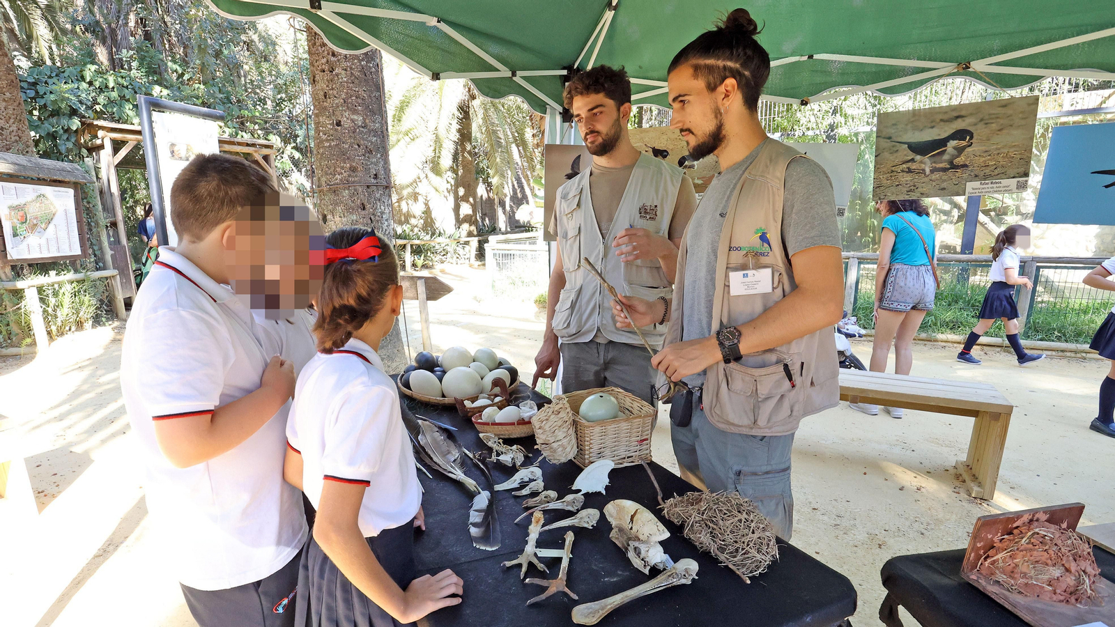 Día de las aves en el Zoo de Jerez