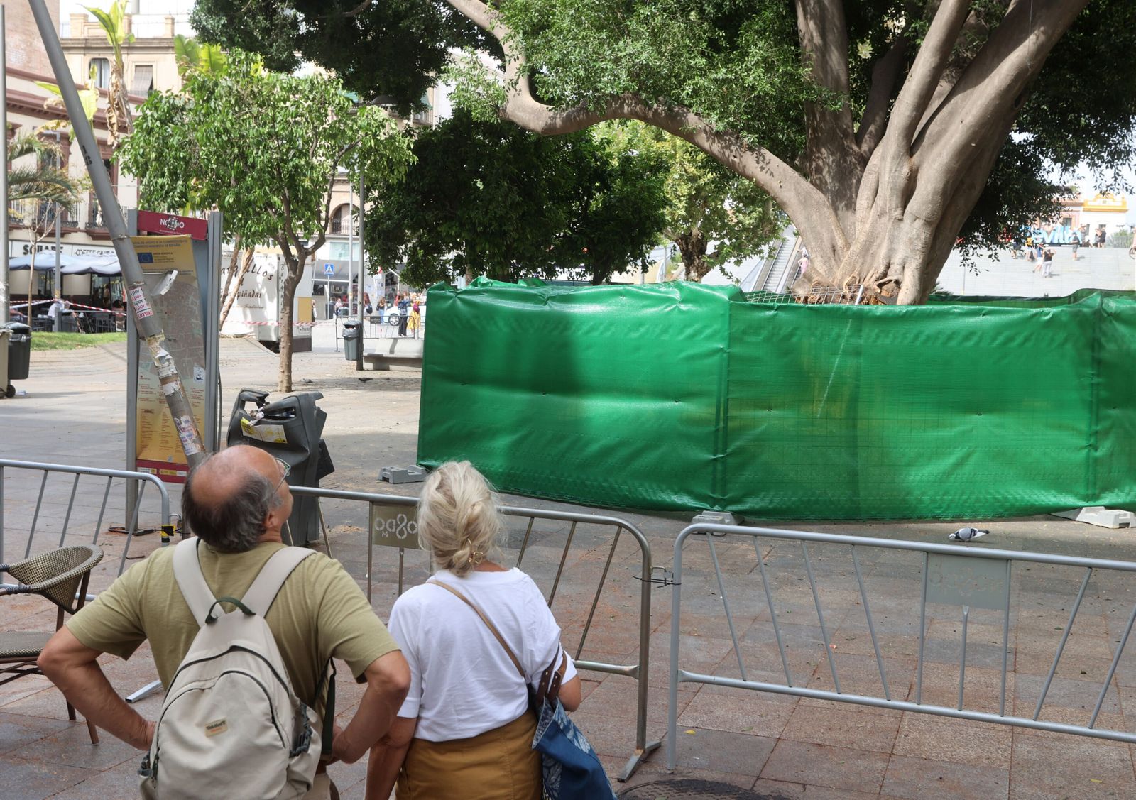 Los desperfectos en la Encarnación tras desplomarse parte del ficus.