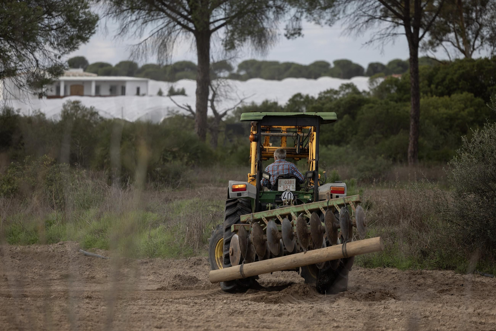 Las fotos de los cultivos en Doñana después del acuerdo sobre la regulación de regadios