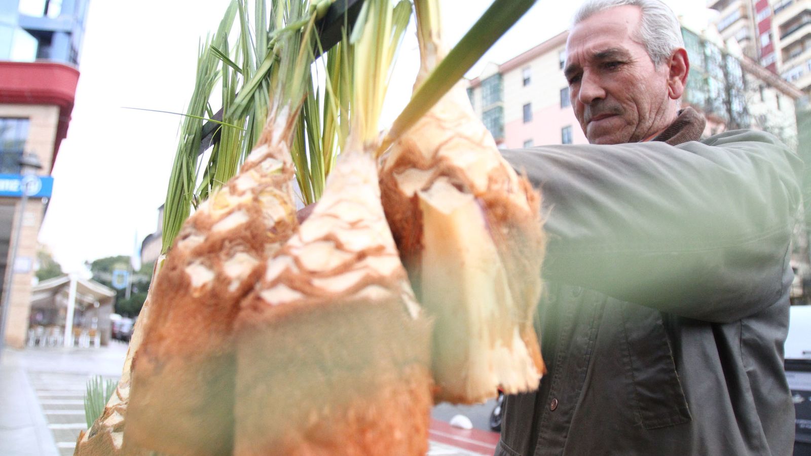 El tradicional puesto de palmitos de estas fechas.