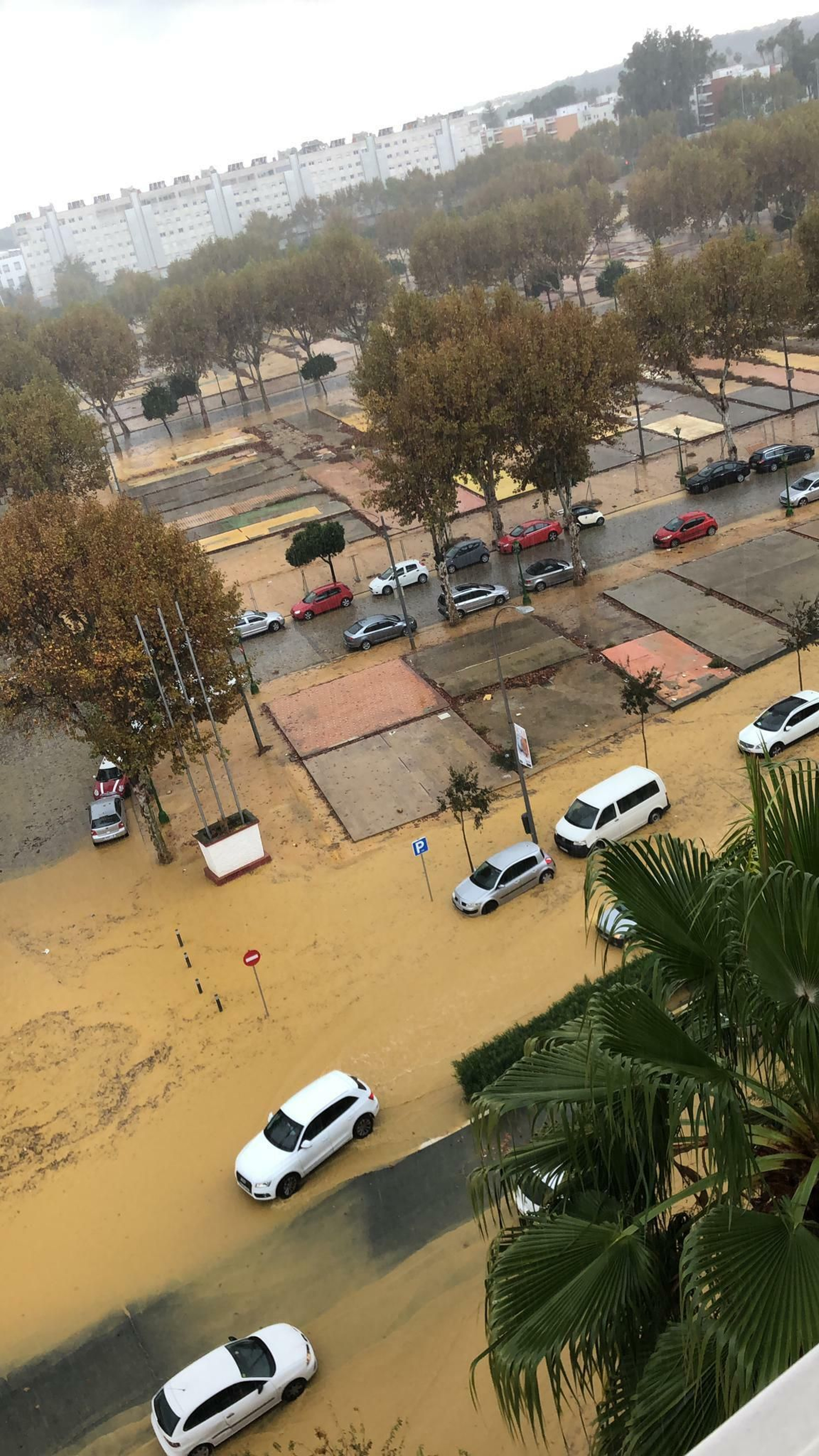 Activado el aviso amarillo por lluvia en Sevilla