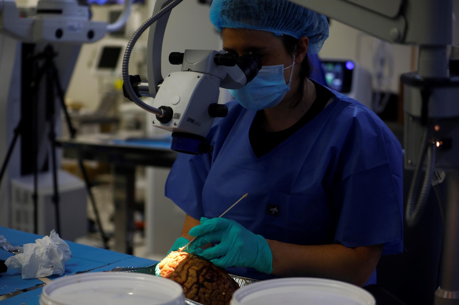 El curso en el que neurocirujanos del Hospital Reina Sofía estudian el cerebro, en imágenes