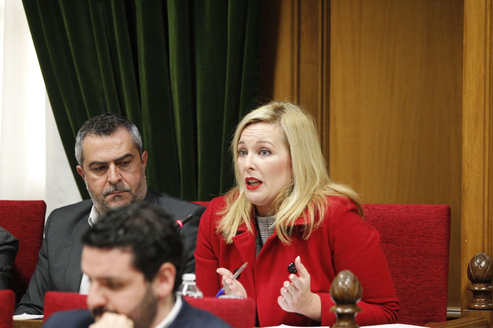 Fotogalería Pleno Ordinario Diputación de Almería