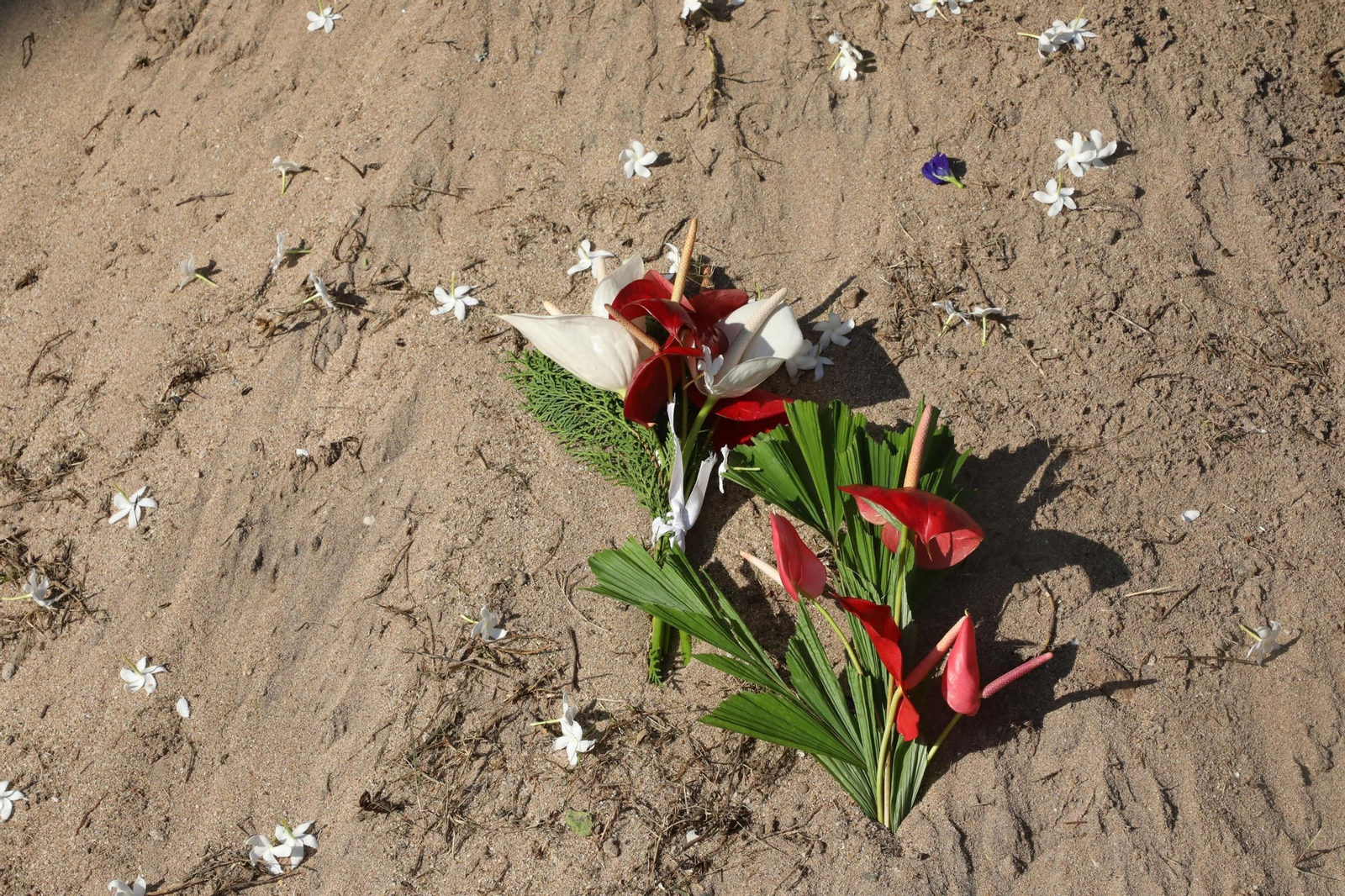 20 años del devastador tsunami en el Índico