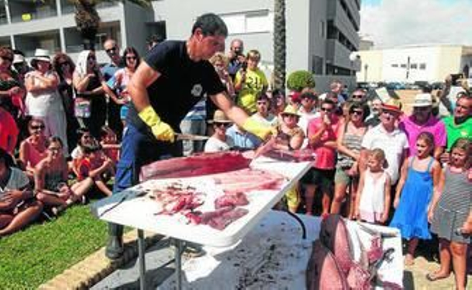 Varios momentos del ronqueo del atún en la mañana de ayer.