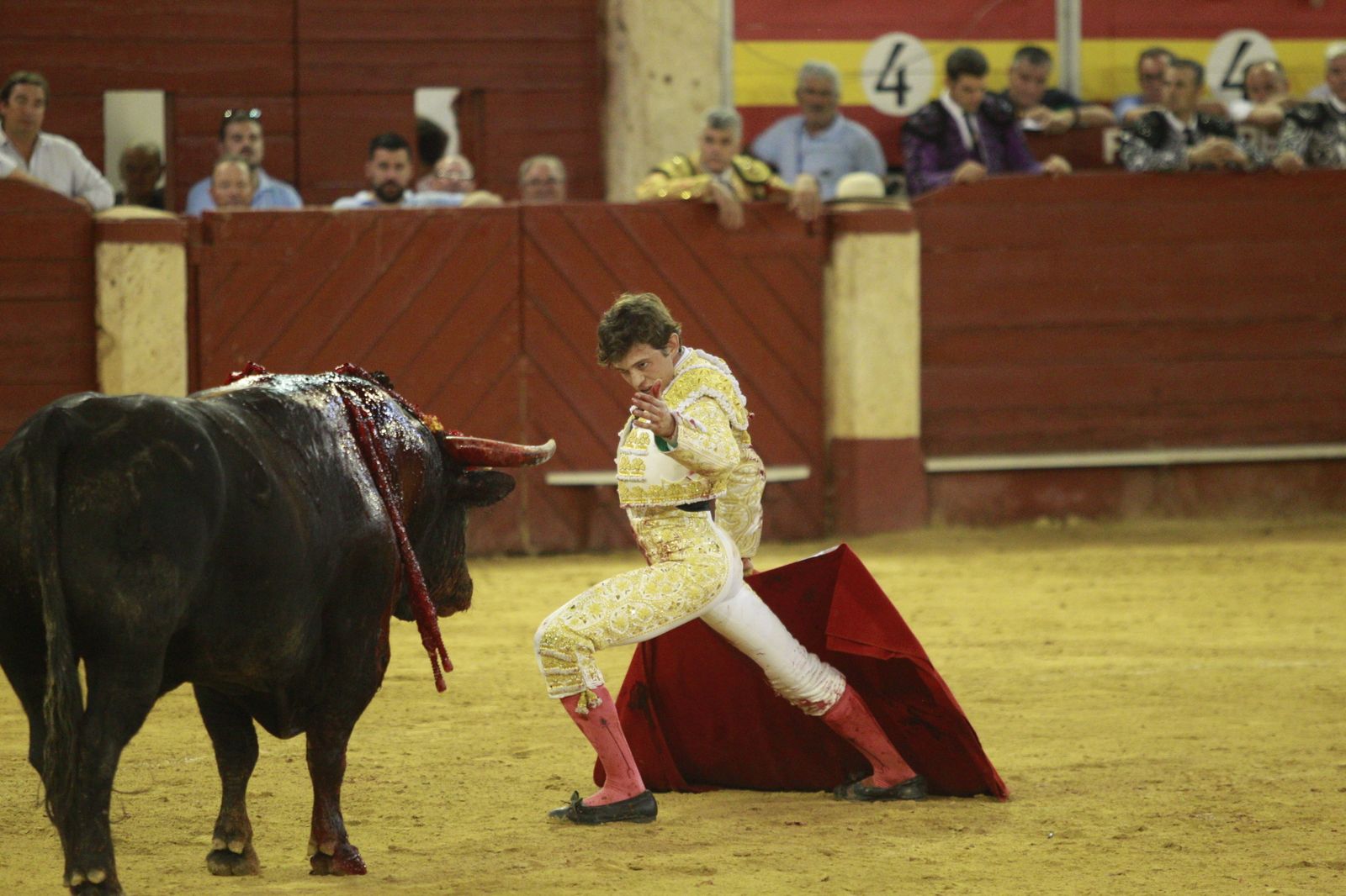 Imágenes del triunfo del torero almeriense Jorge Martínez el día de su alternativa