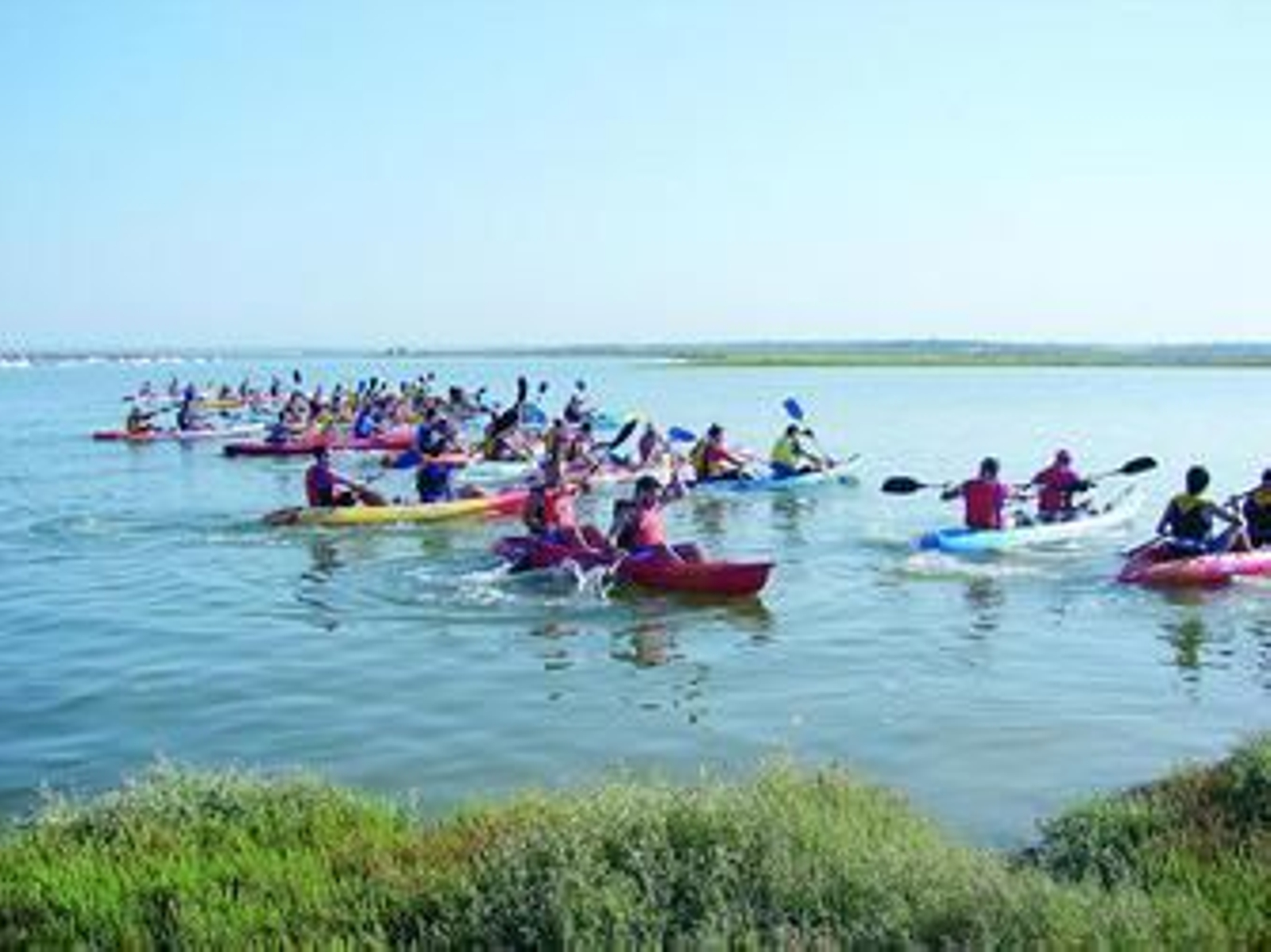 Varias de las embarcaciones participantes en esta actividad.