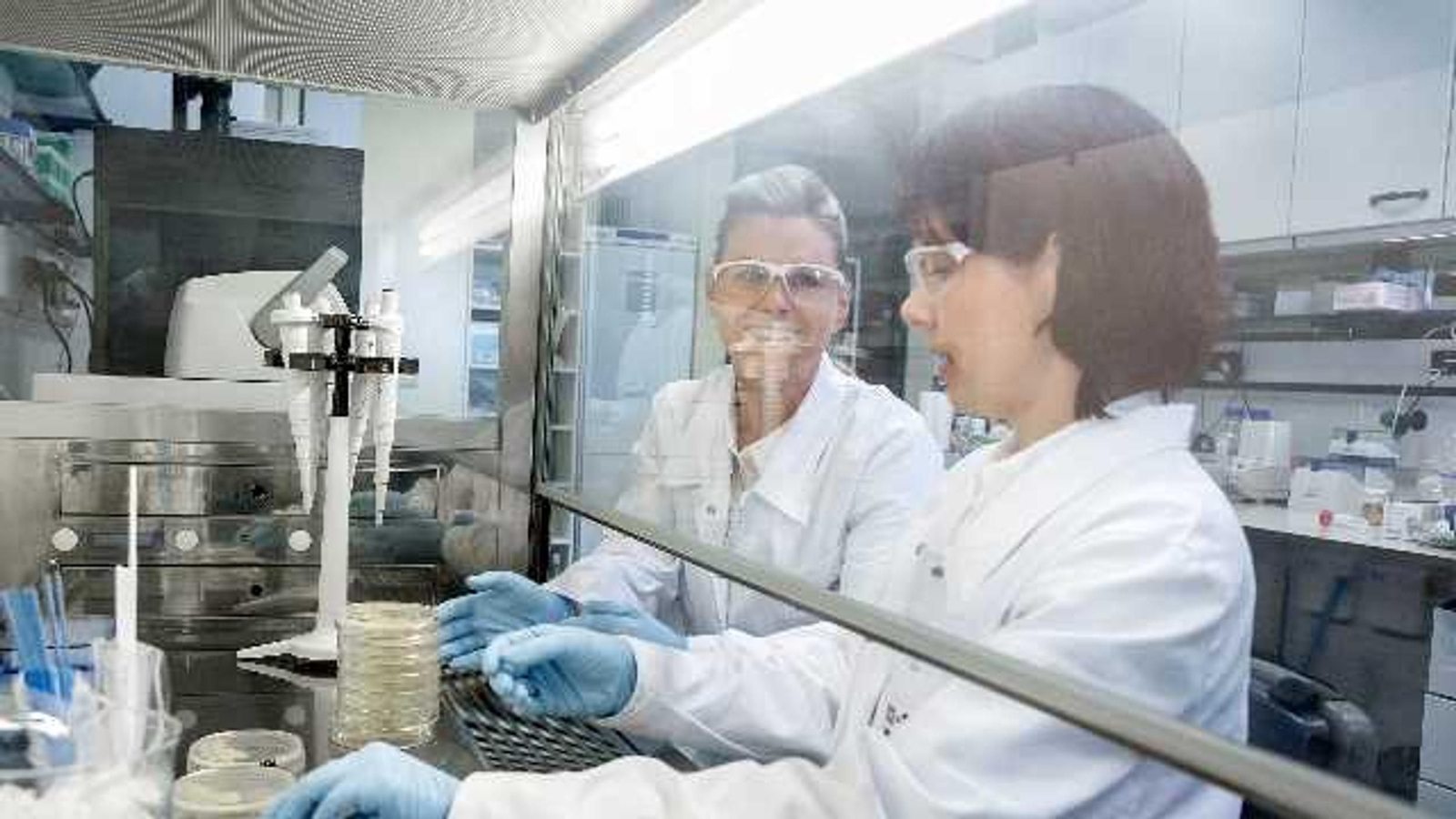 La compañía prevé incrementar sus ventas un 50% para el año 2030.