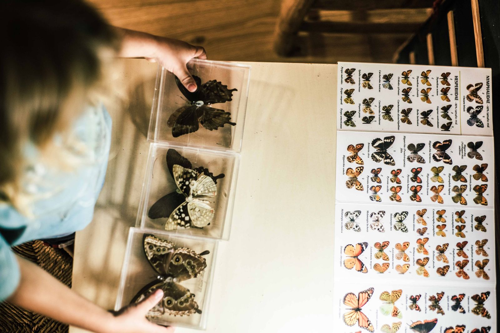 En La Casa de la Luz, los niños y niñas pueden aprender en función de sus intereses y motivaciones.