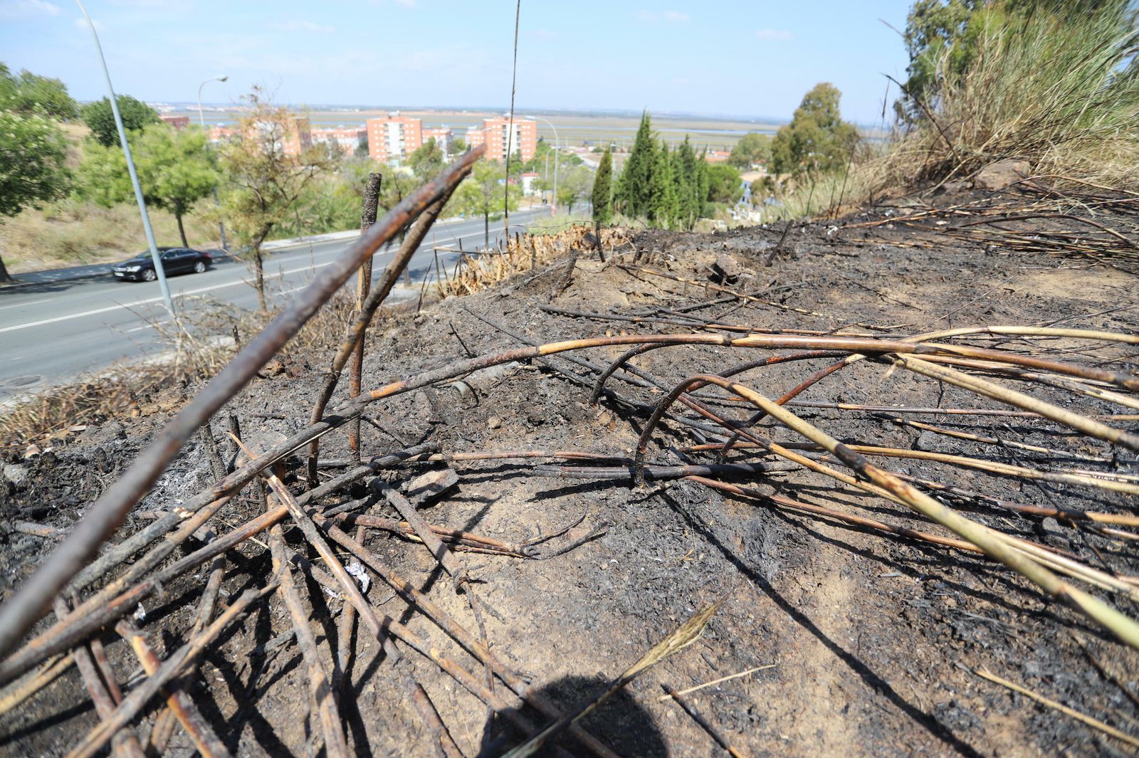Zona de la ladera del mirador afectada por el incendio.