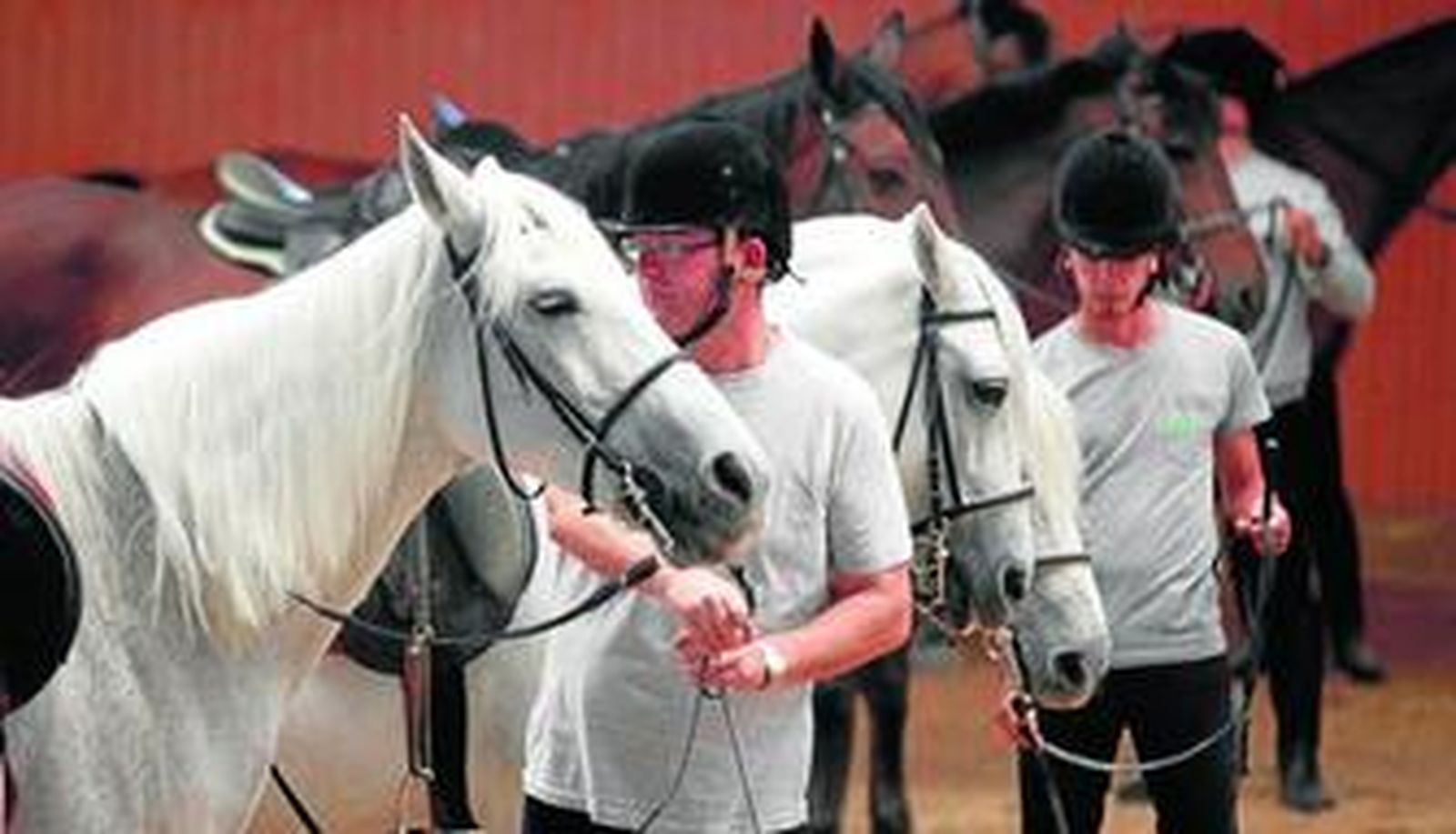 Los alumnos del taller de empleo se preparan para hacer la exhibición ecuestre.