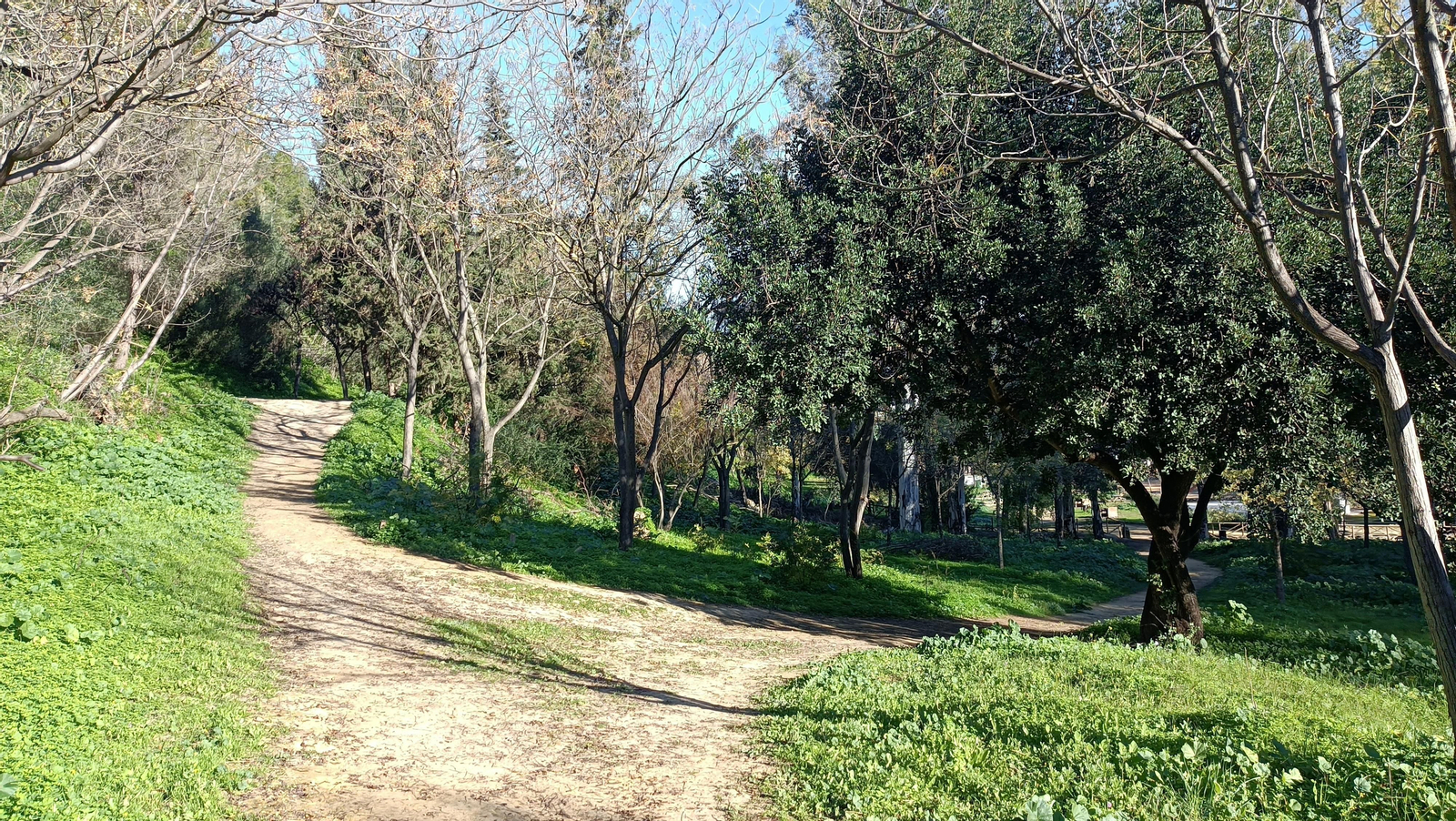 Posteriormente veremos un merendero. Justo después volvemos a pisar asfalto.