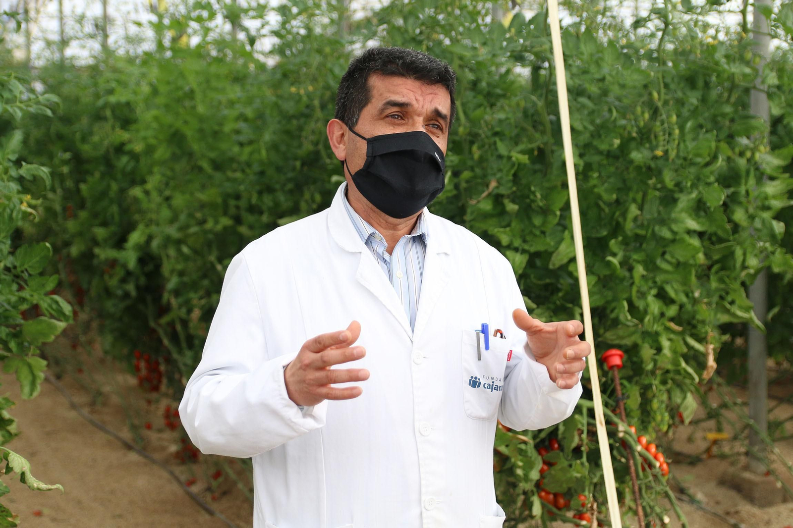 Fotogalería de la presentación de Plataforma Tierra, de Cajamar e IBM
