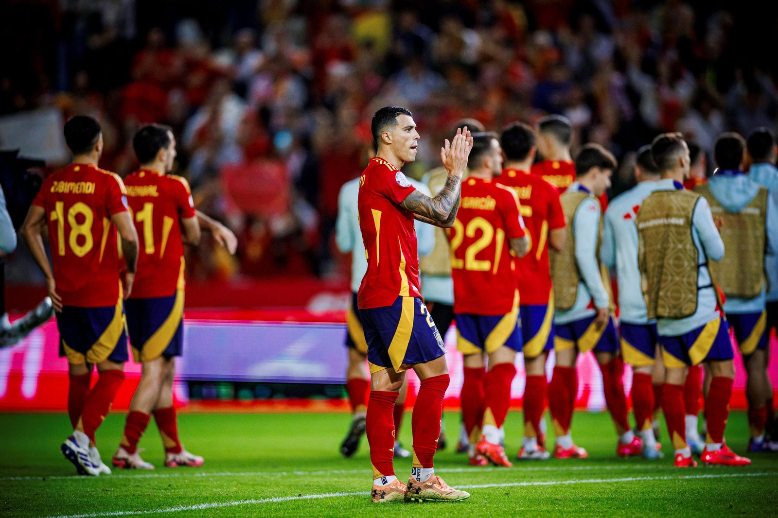 Las fotos del España - Serbia en Córdoba
