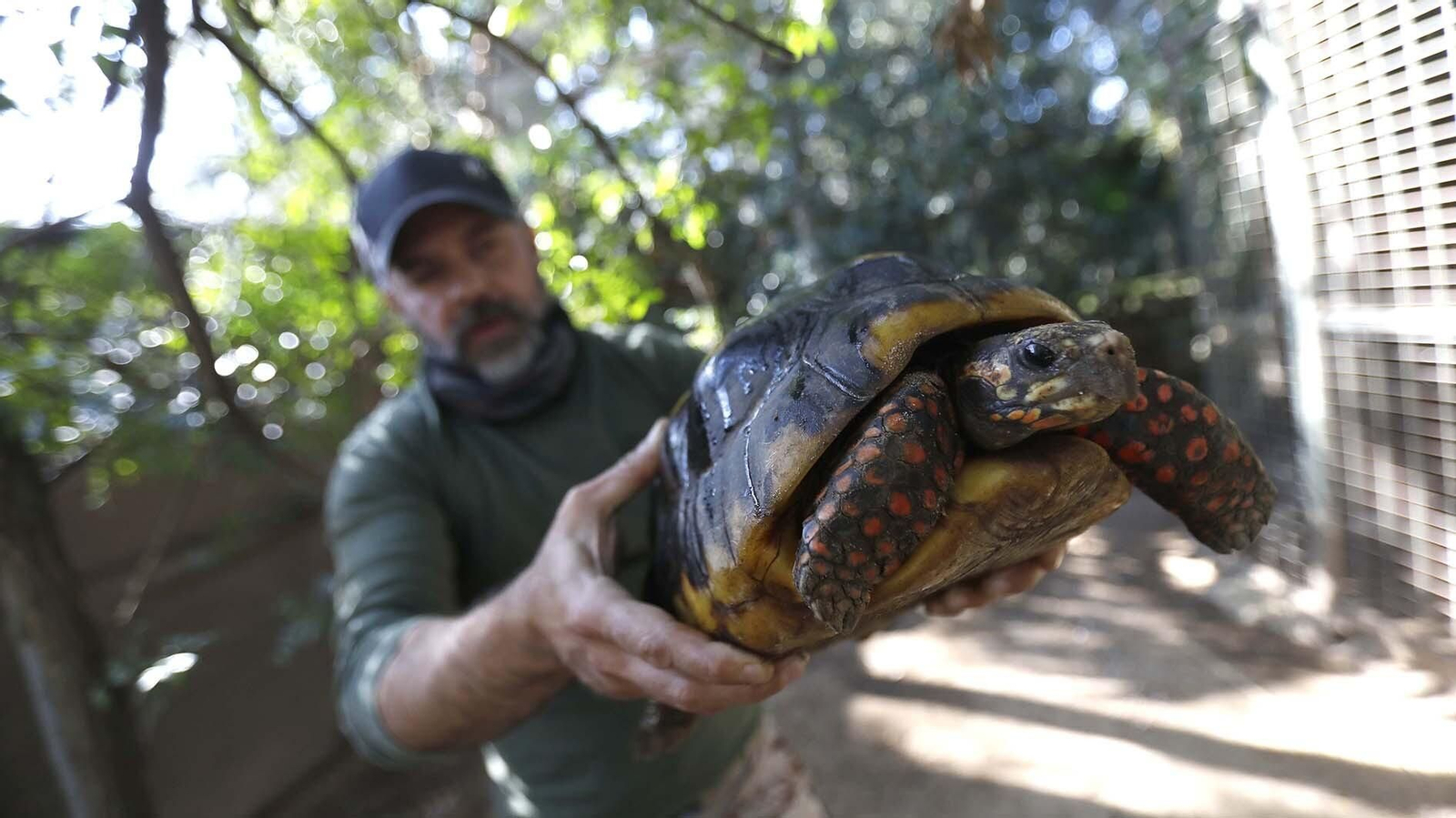 Las fotos del Zoo de Castellar de la Frontera