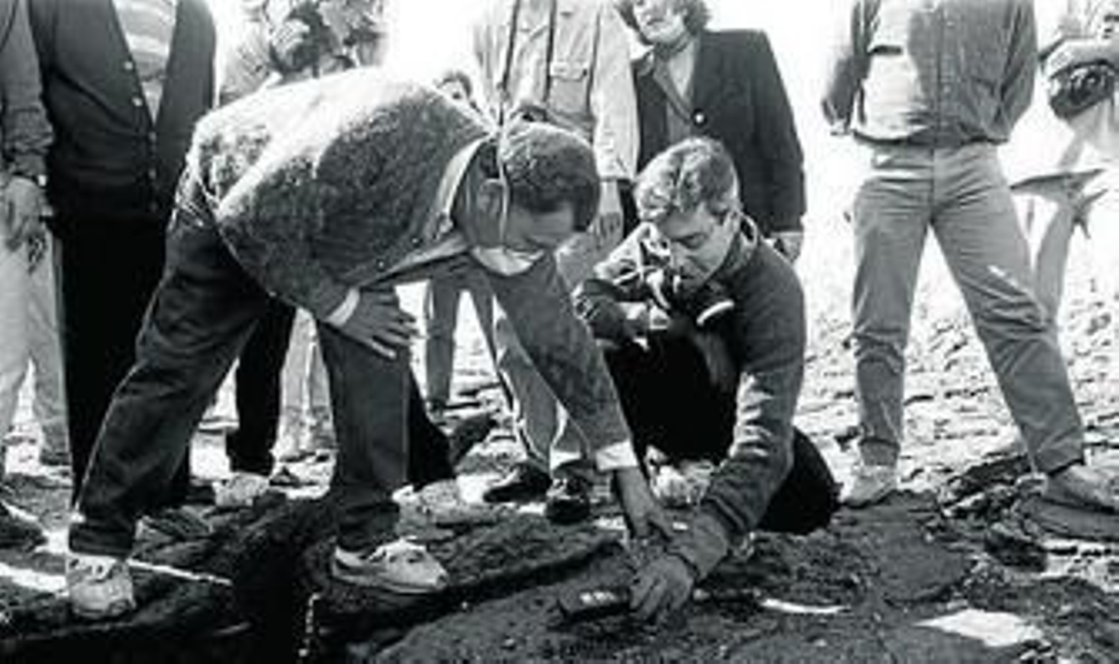 La polución activa las alarmas