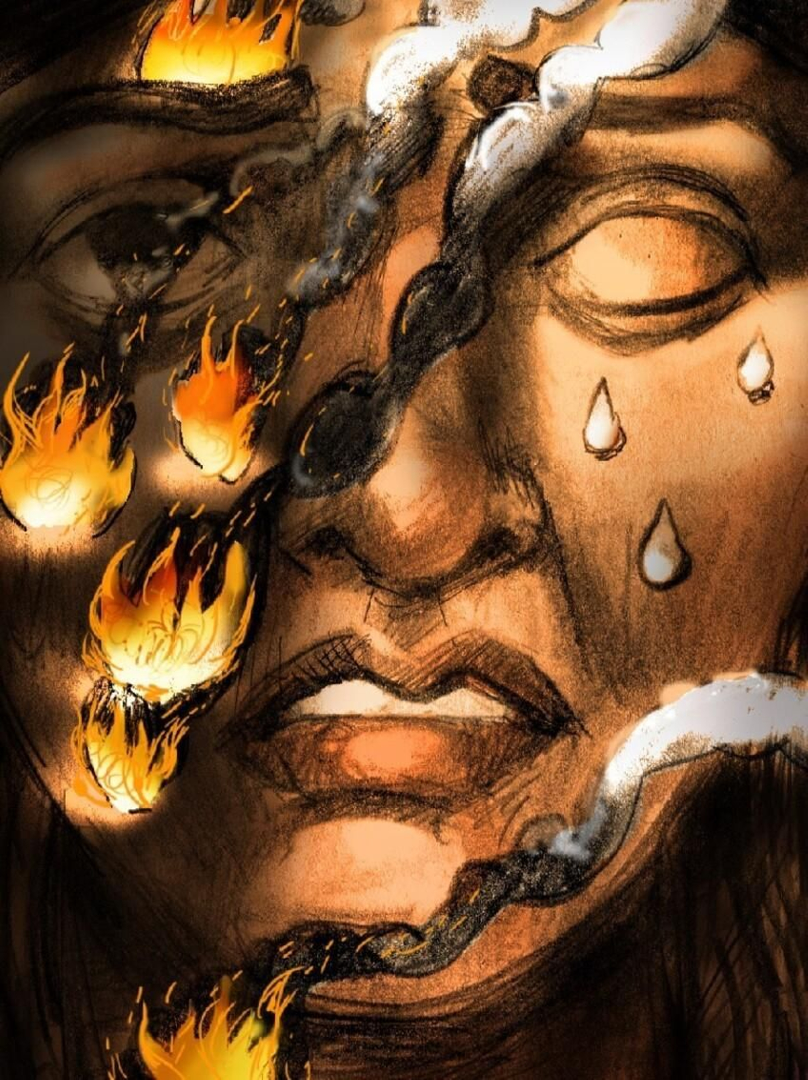 La plaga de los incendios forestales