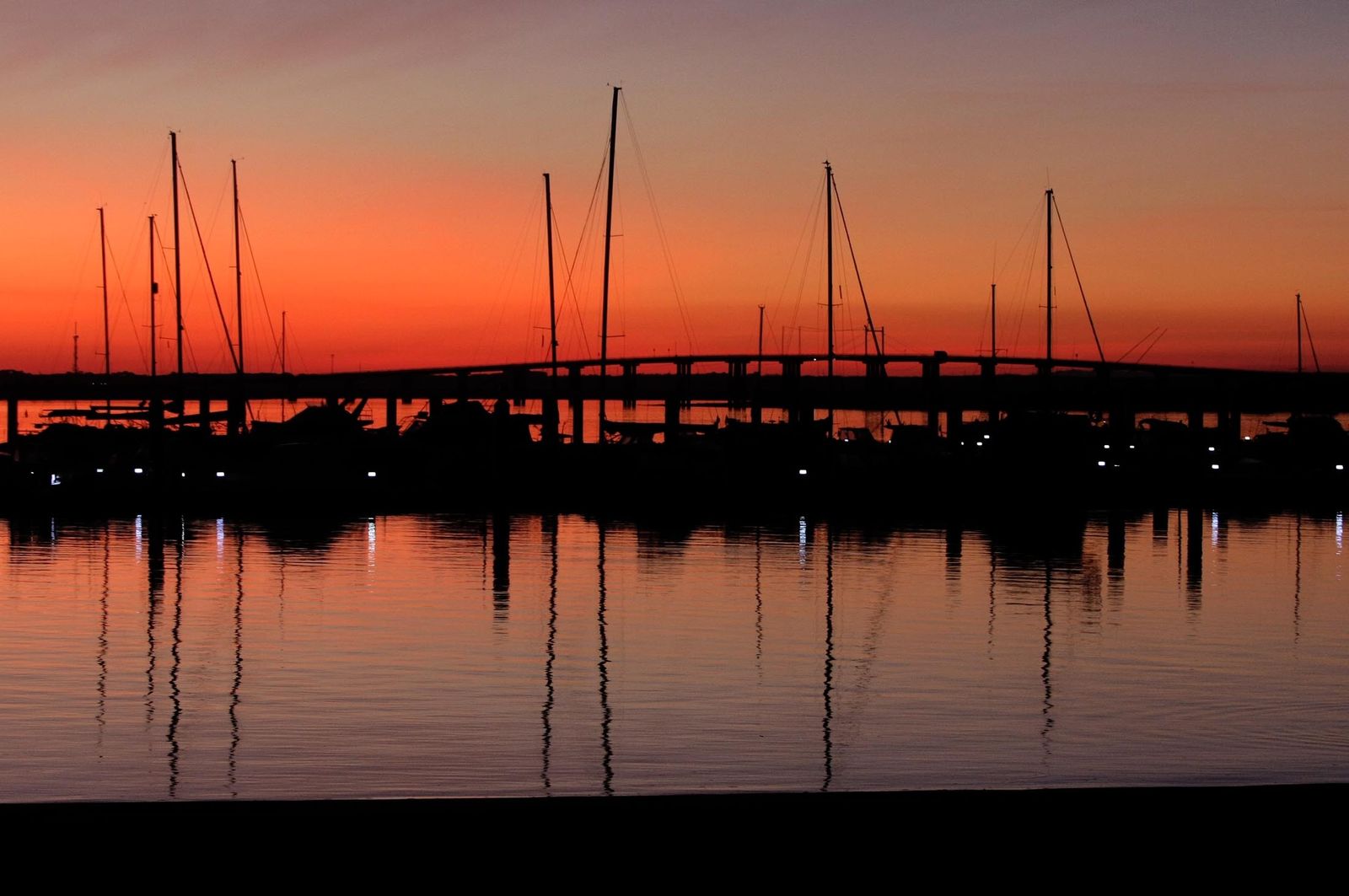 Imágenes del sábado 18 de noviembre en Huelva