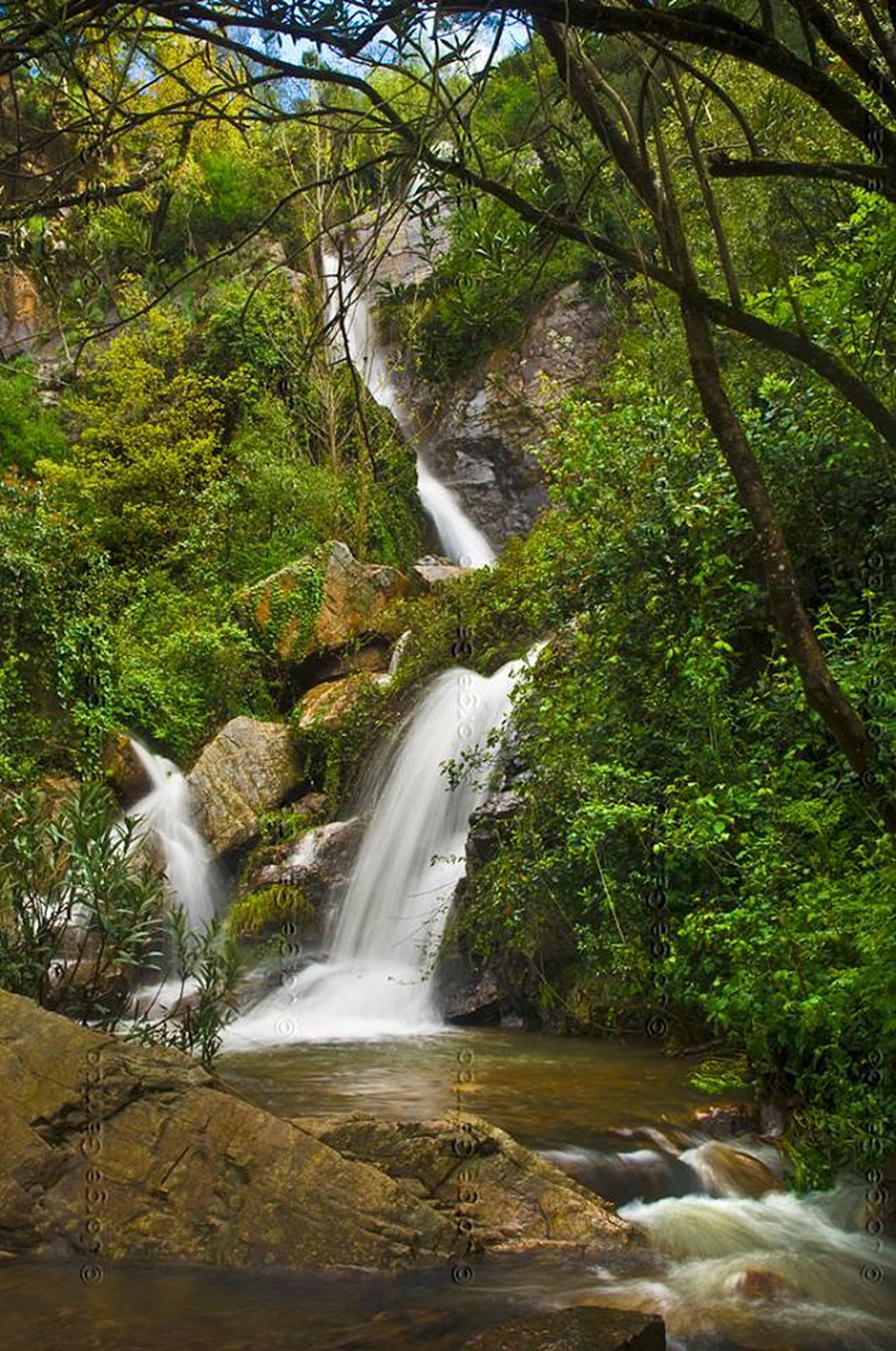 Cascada de agua en uno de los senderos.