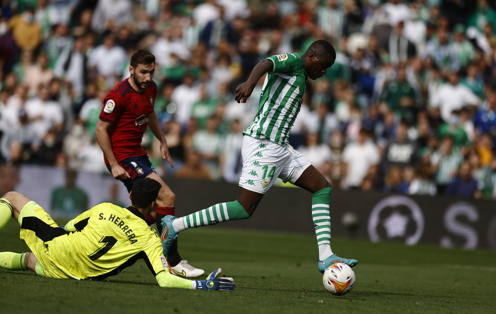 Las imágenes del Betis-Osasuna