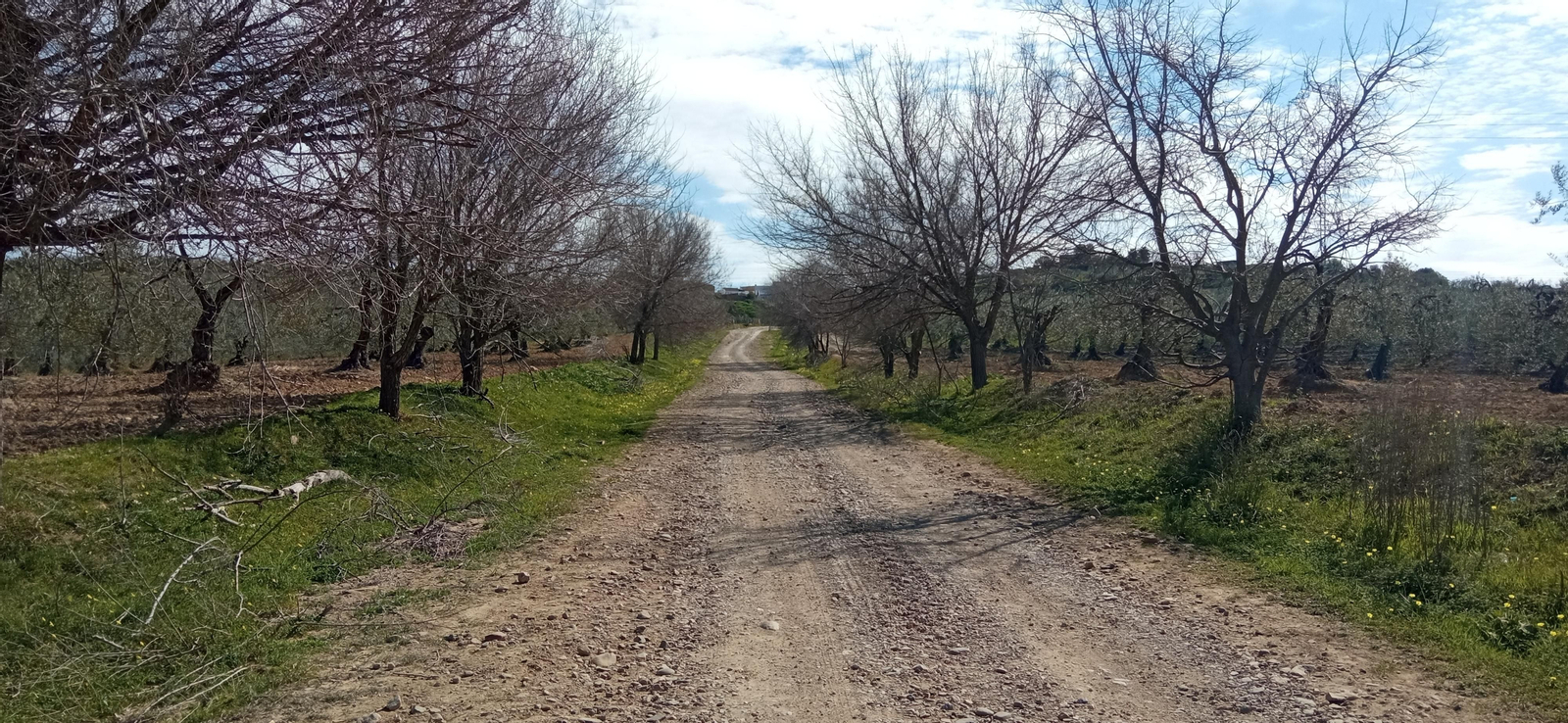 Las imágenes de la ruta de la dehesa de Albaida del Aljarafe