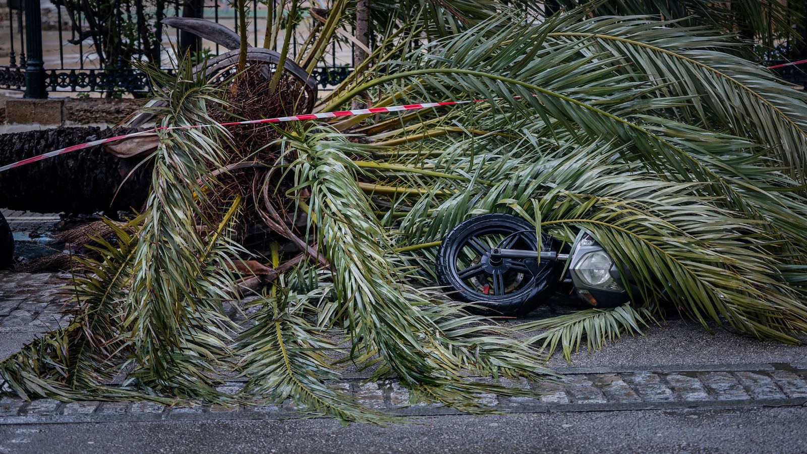 Imágenes de las incidencias y destrozos provocados por la borrasca Kristin en Cádiz