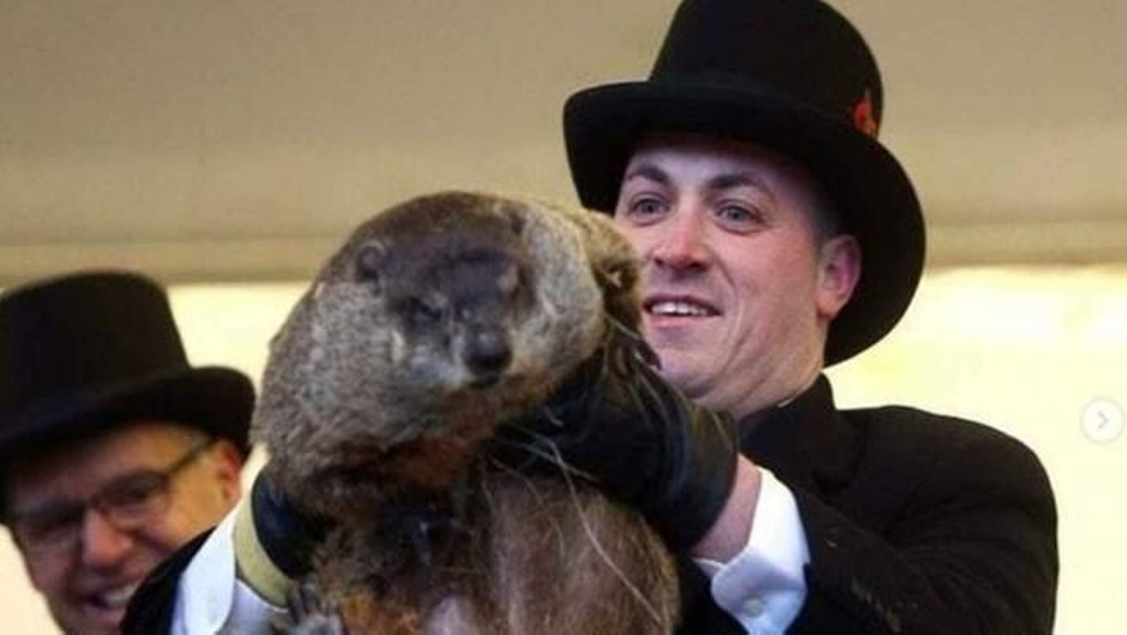 La marmota Milltown Mel